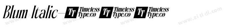 Blum Italic字体转换